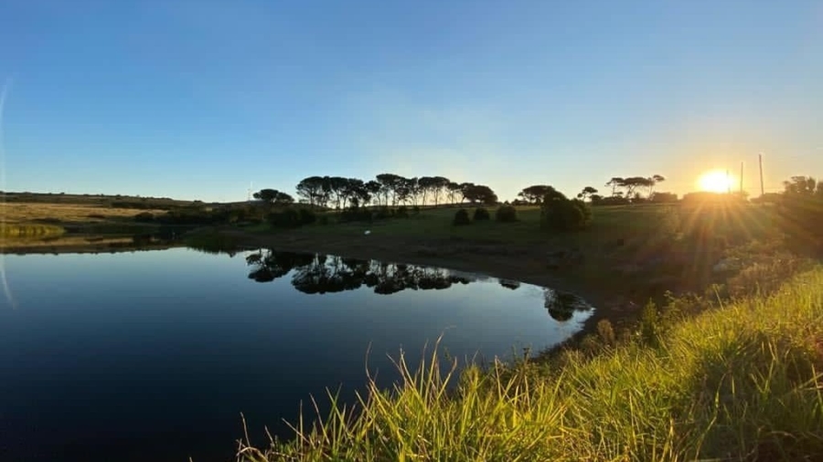 0 Bedroom Property for Sale in Kabeljauws Eastern Cape